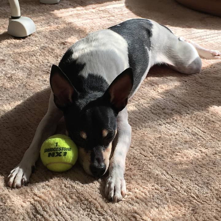 630c13b1 bf70 4862 bcf3 5ebf60230e49