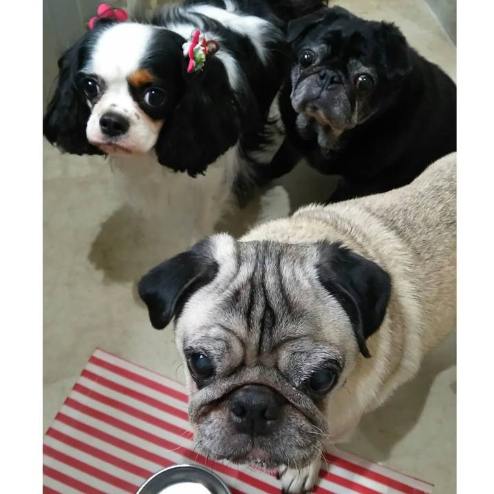 630c4fea 65ba 4f6d 9a48 58b709d9a361