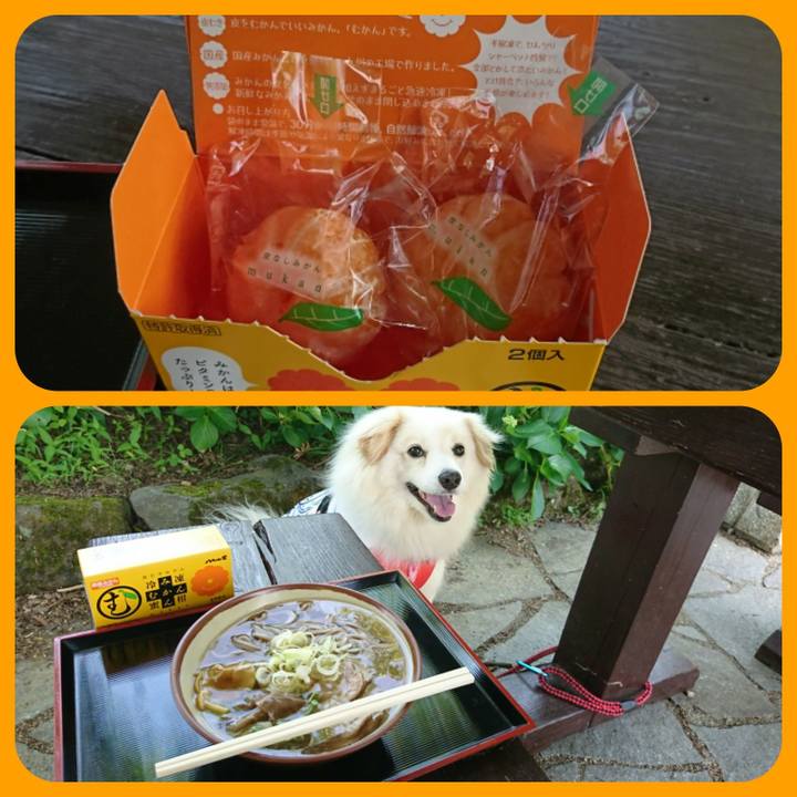 630c6687 6e44 42a0 8185 b12a8b4850ad