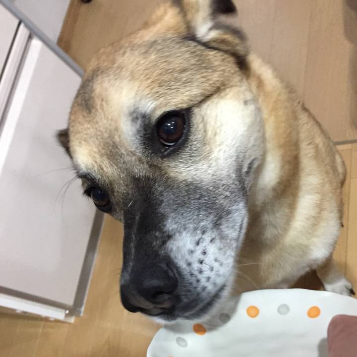 630c8b17 87da 4ab8 ae19 4d71b51bf1d1