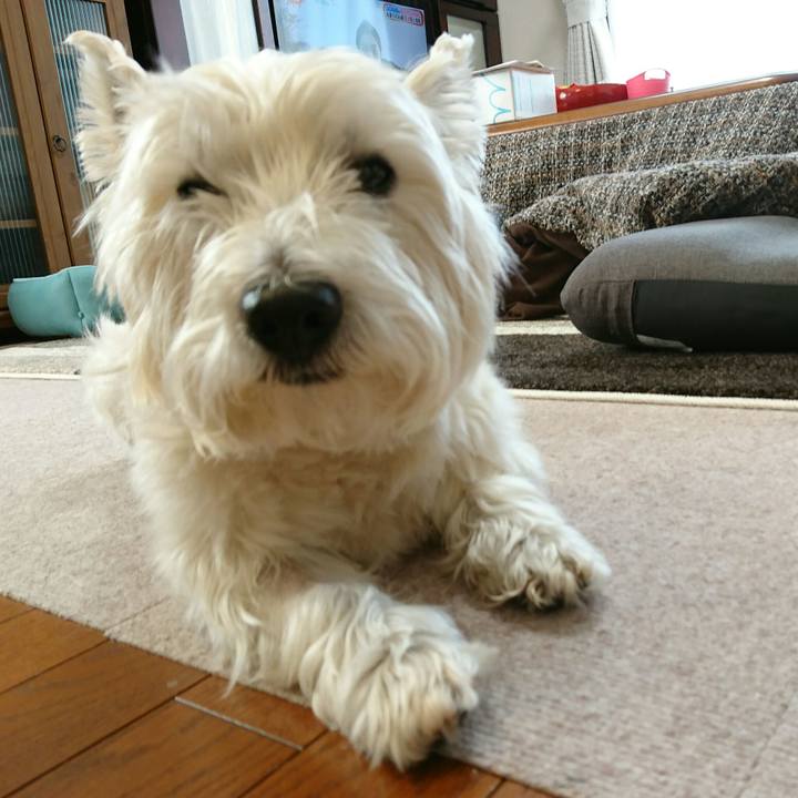 630cab39 d6c8 4b08 b34c f7617aa85403