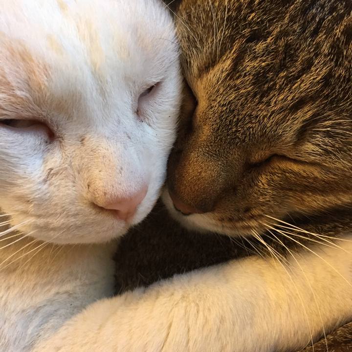 630cff49 d1f1 47f6 9123 90c0159672e5