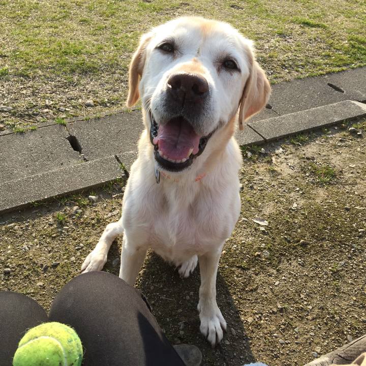 630d411c 0f30 4248 a095 500d1b0e4714