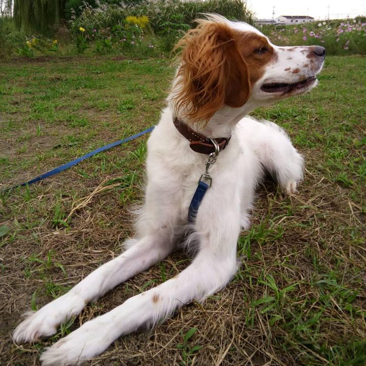 630e1228 09e7 4b96 810b bb9fc8ac5752