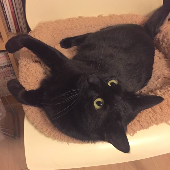 630ebfc2 2e86 4d40 b163 e2fd6f622953