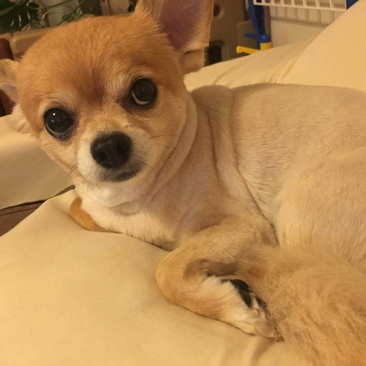 630f1d43 ce4f 4564 a1a9 5a37e5e3088c