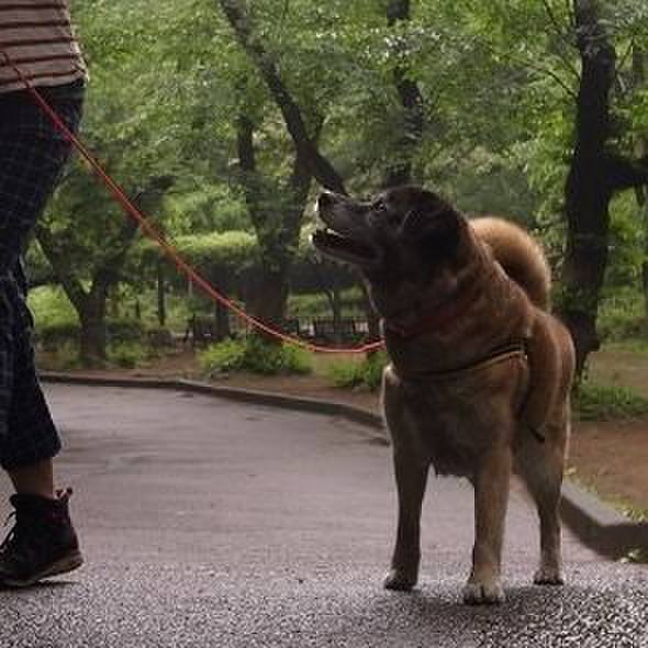 630fa024 583d 45a7 aac7 3db5cbf26ed5