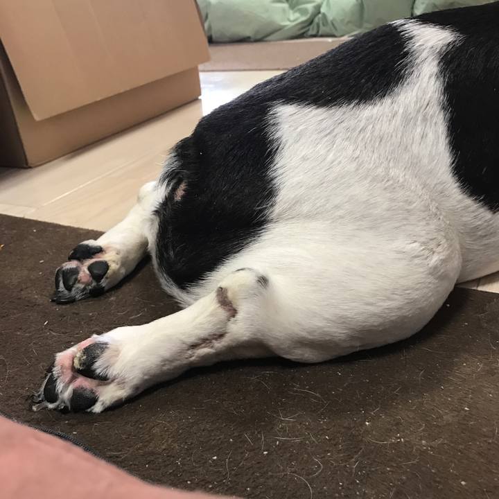 630ffbb9 888f 4259 a881 f72588af3ce9