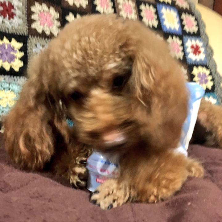 63107c51 a1c5 455d b0a7 a70b129f5225