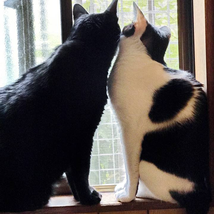 6310bfaa a69e 4b8d b1c7 a3bb3617e8d7