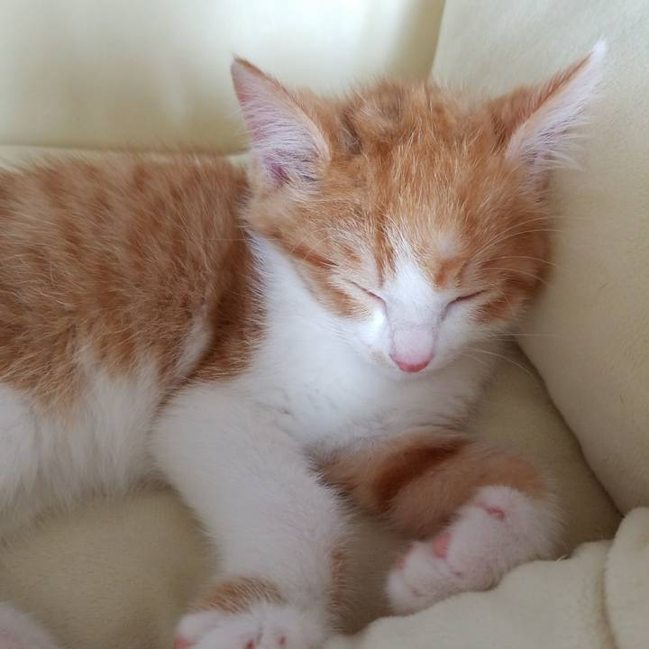 6311ca66 12b7 47a9 8d28 38581772c465