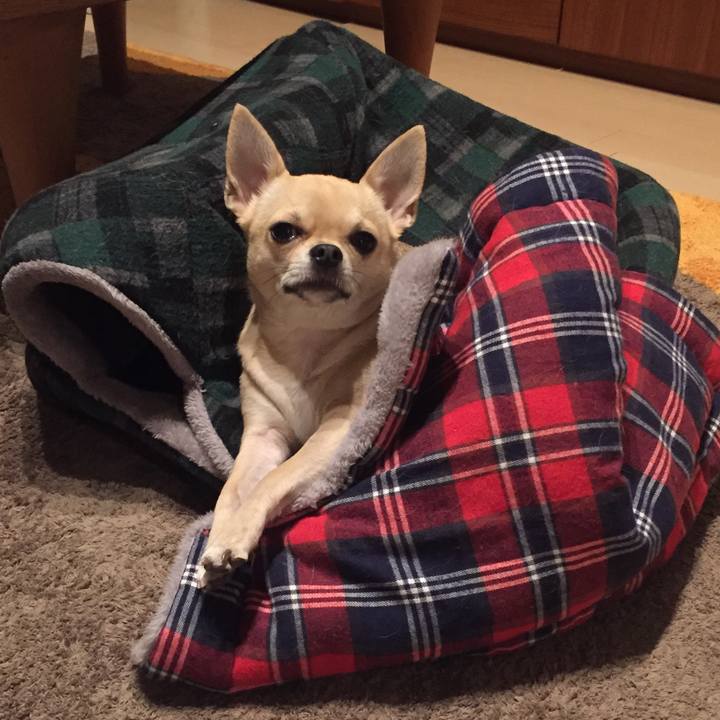 6311d5ad fda1 4a18 8e89 a7d7f8dfbaee