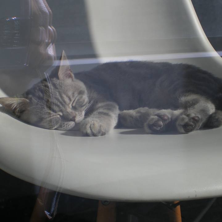 631265c5 aa69 4c88 ac6f 7063cb8e3eb8