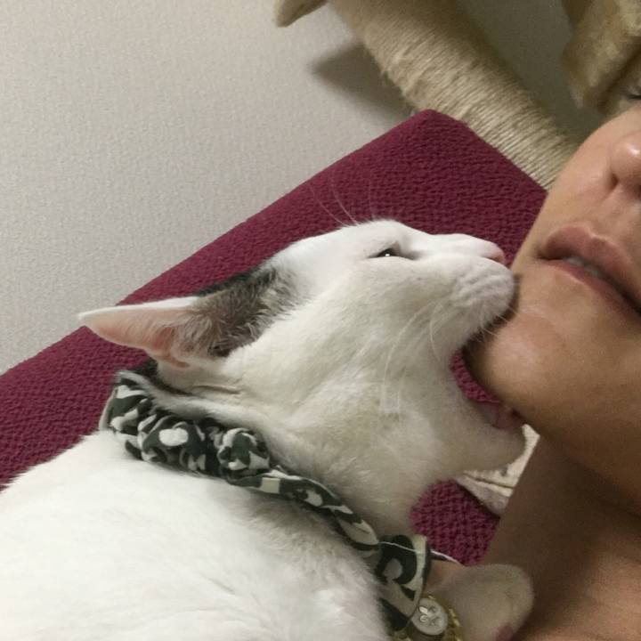 63128779 7630 43b3 801f 2eb522d11345