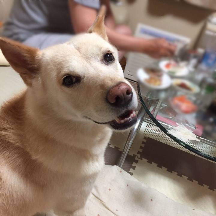 63129f1a bee1 4f75 8b9b b57f109c3e97