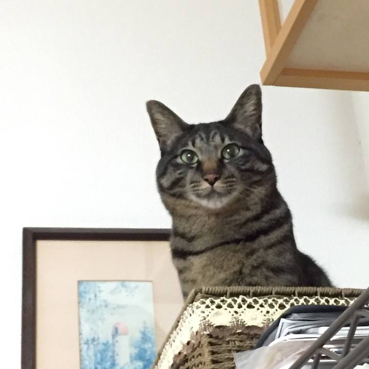 6312b962 389d 43bb 8a7d 705f3a22da5a