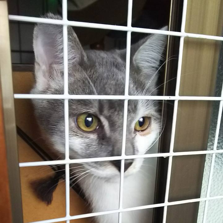 6312d011 f349 41d7 b2bb 90ec1330f5dd