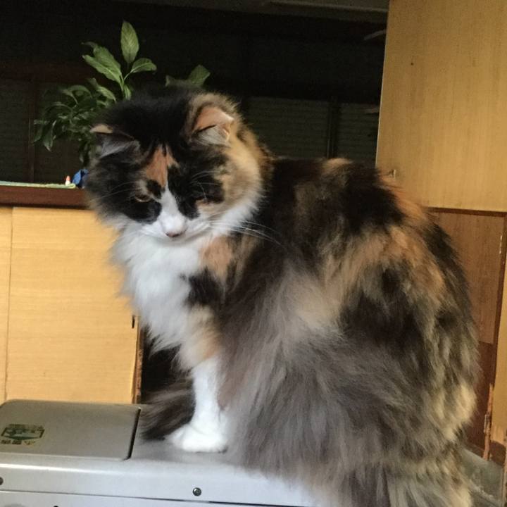 6312e571 e609 48ae 9484 c9d4c461591e