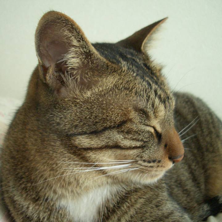 63136a6a b733 4e63 b5e8 0e2ebdffa5db