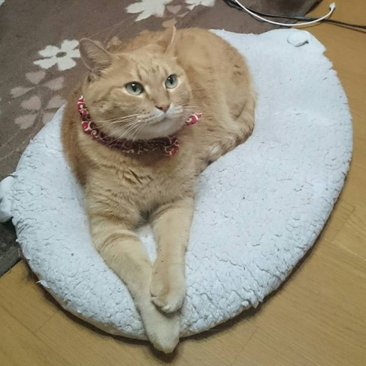 631458af 1406 43cf bd98 33672ae13db2