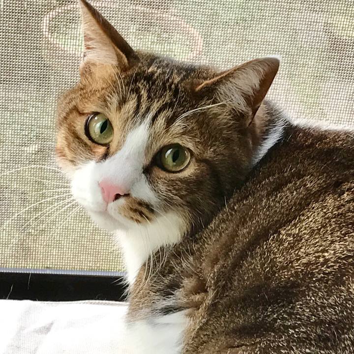 63149652 41ec 4020 9492 25eb7a500565