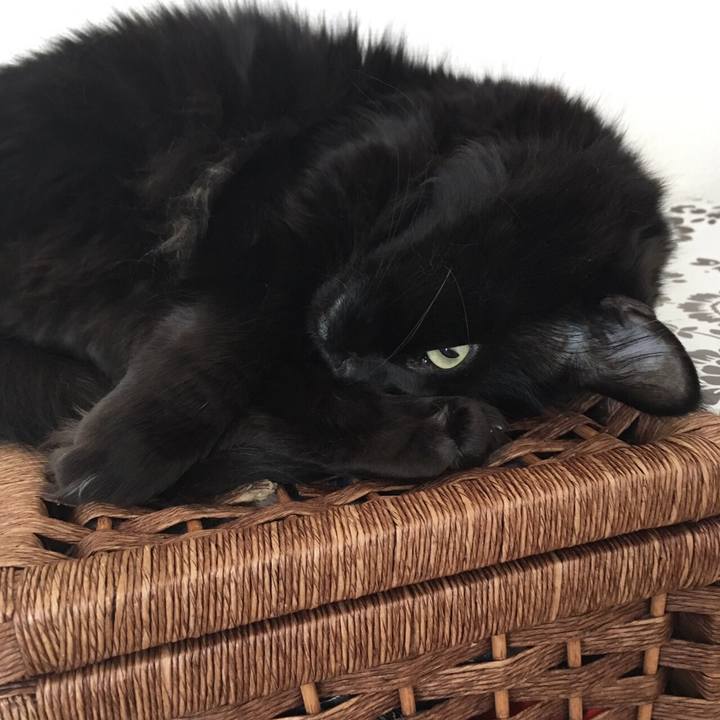 631573ce 89bc 4d11 94f3 98f198a7a35e