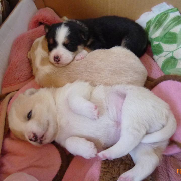 6315de8c 4b97 4c84 8776 27423689129a