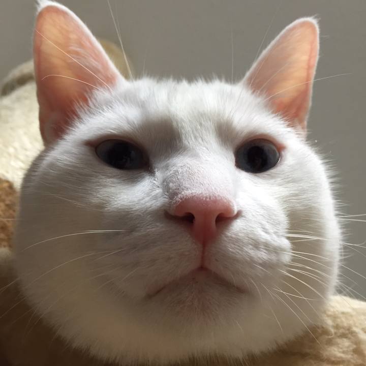 63160131 4b46 4c09 b530 843fb9e9c27f