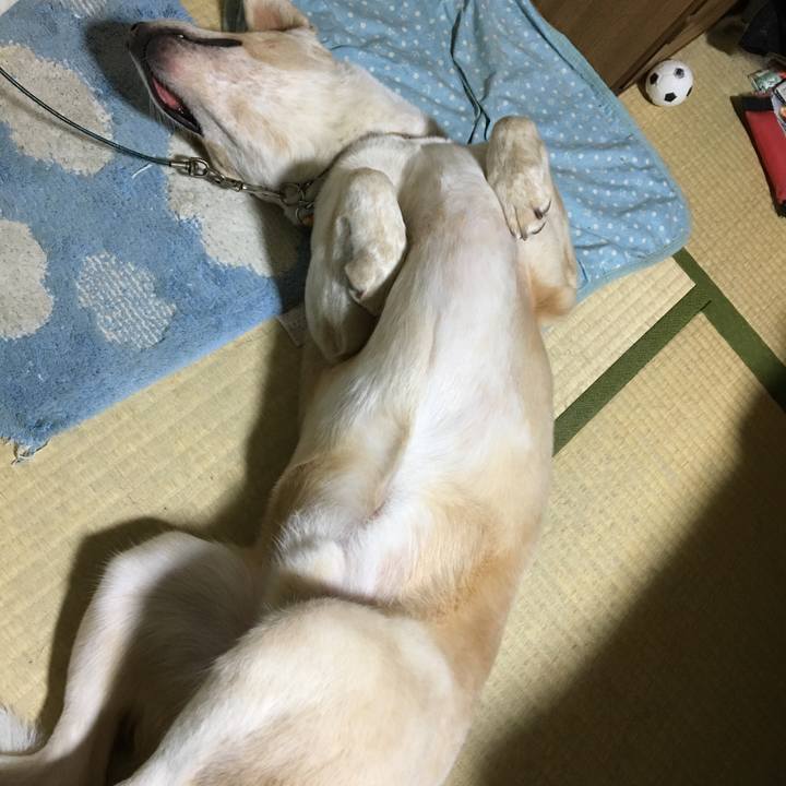 63162475 284c 403a a7c9 ed432af7a09c