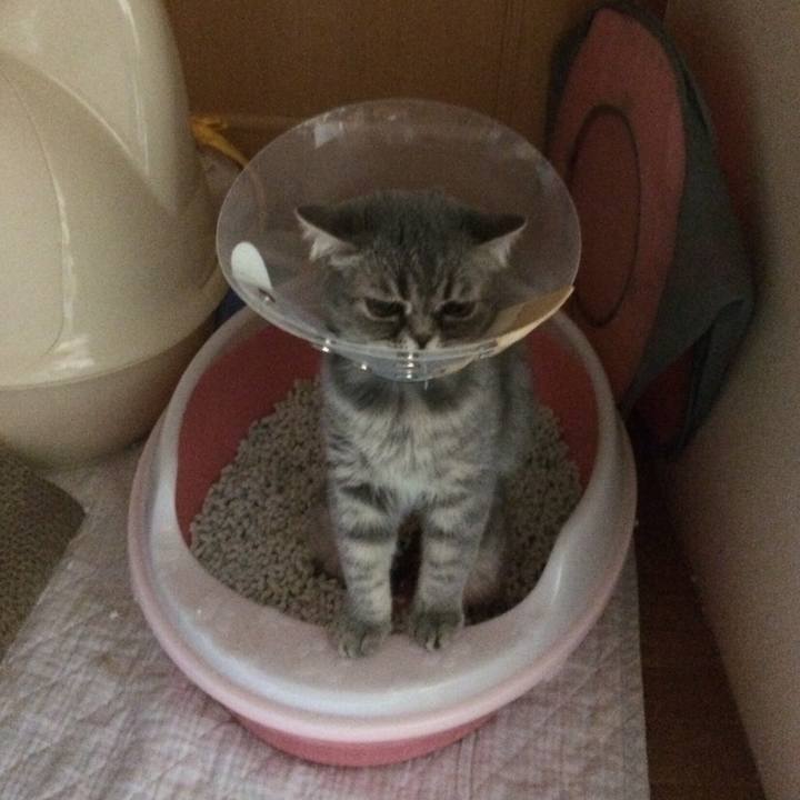 63162f67 27f1 472e 98d8 beed3ad79ee6