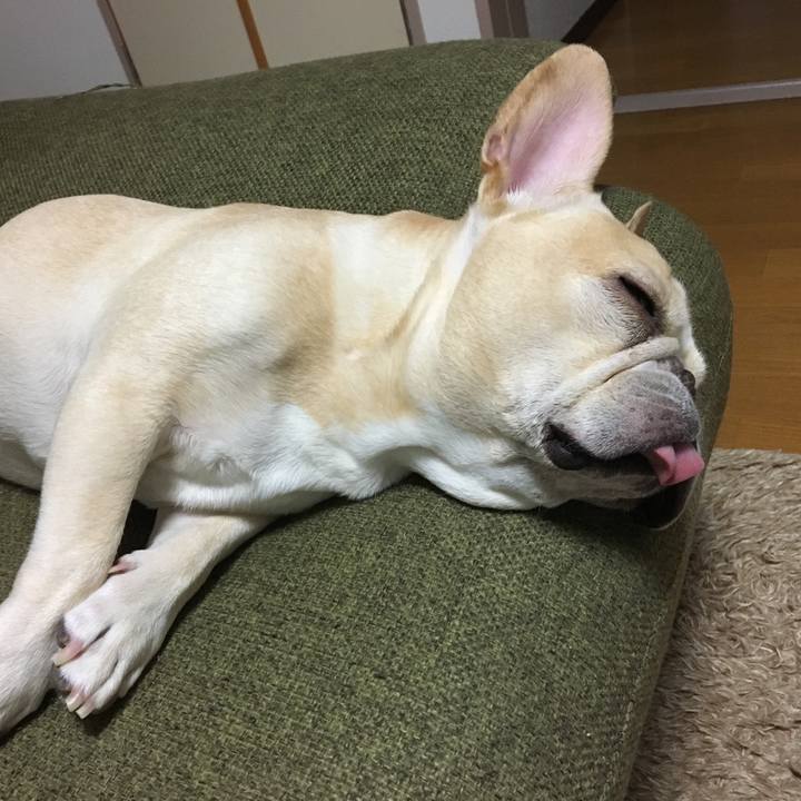 631660a6 cb45 4c0a 88c4 3312e68c67f6