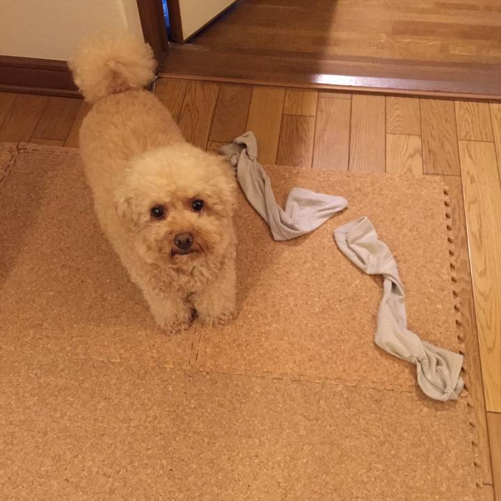 631675f3 f927 4b81 a66b 214d3d7711f0