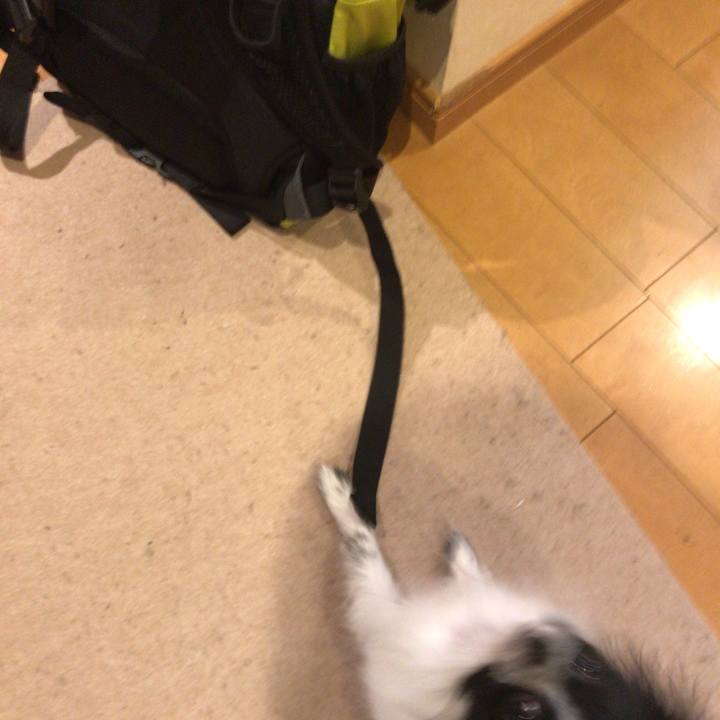 631736c4 f8fe 4763 a508 de7486442353