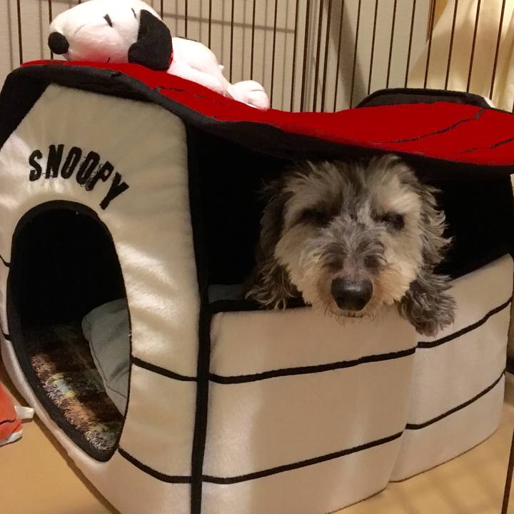 6317da88 3c27 49e0 8e1c 50e7fbf98c64