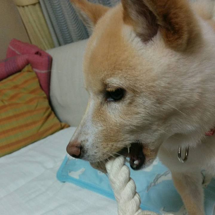 63187f70 4721 452e aa85 09555291876f