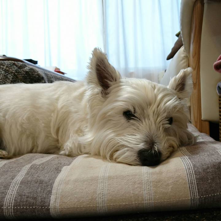 631889a1 9e2f 4858 94b8 11ff221546ee