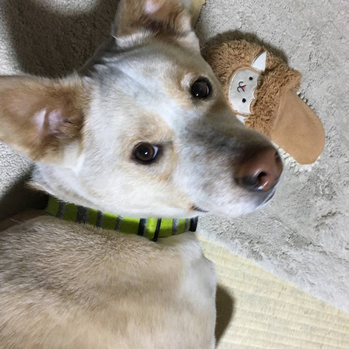 6319583d 2724 4e23 8a34 5ba7f8ad45a2