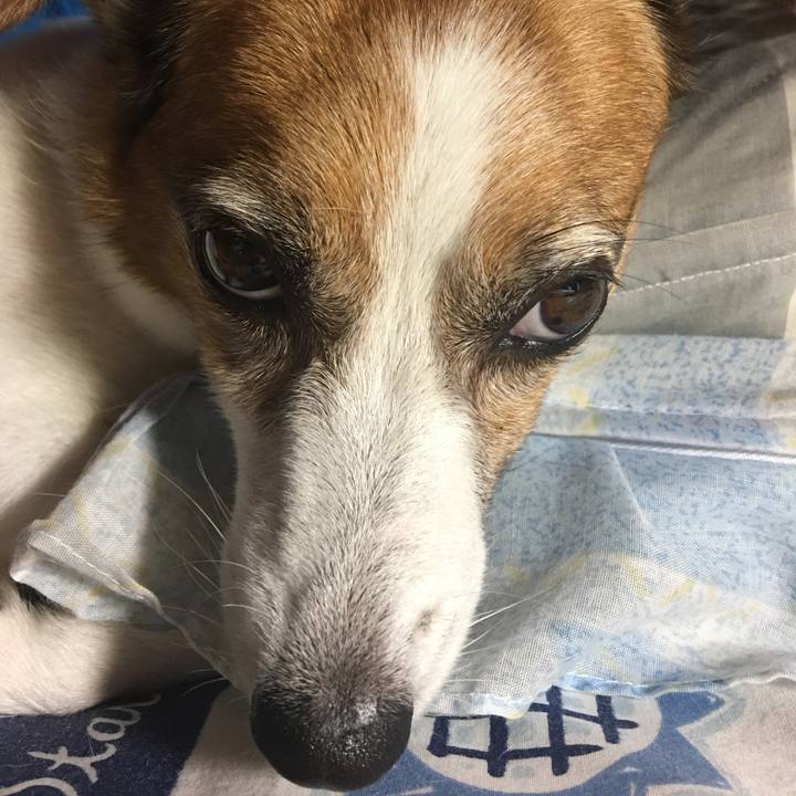 6319b295 dbb0 4d68 bb2d bb284ecc2264