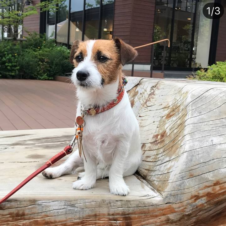 6319d6f8 01ca 48d7 9714 6249cca50405