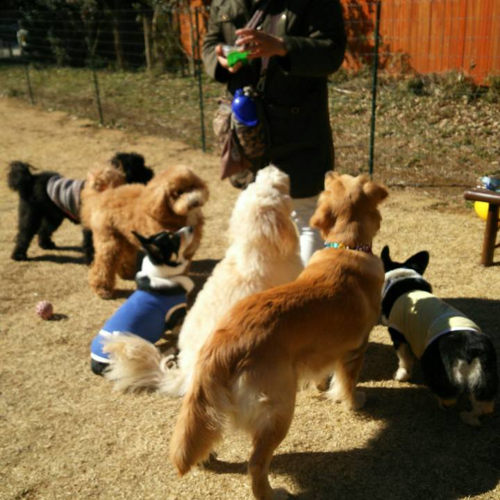 631abf06 f874 4037 9c26 3fc4480b192a