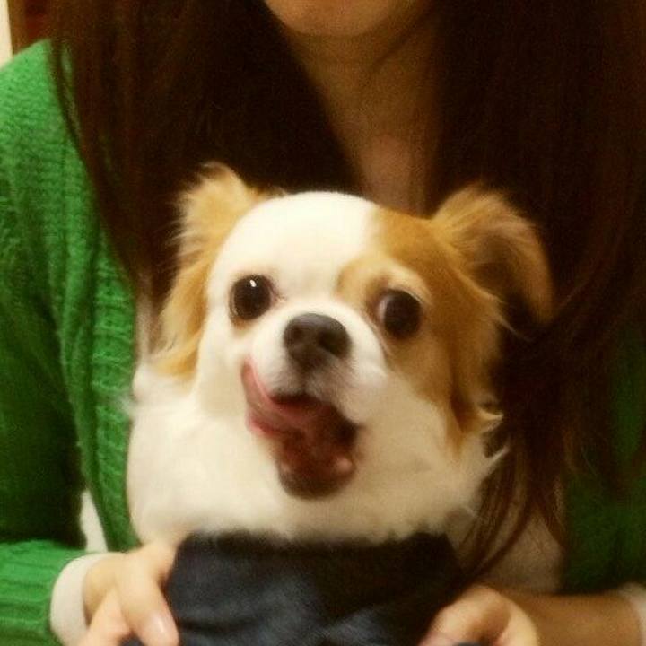 631b0622 9b13 47c3 82a5 5004d51ced08