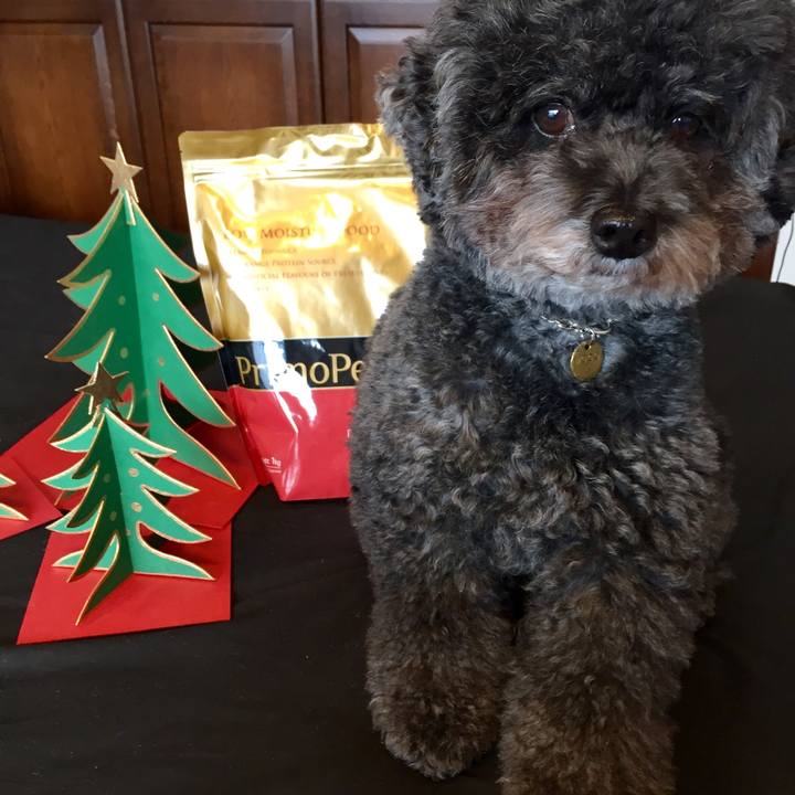 631b0b3e 4ae6 47eb 9b1d b0c4f203a793