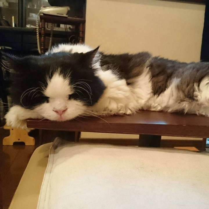 631b70d5 d049 48b9 84a8 910bfdbda405