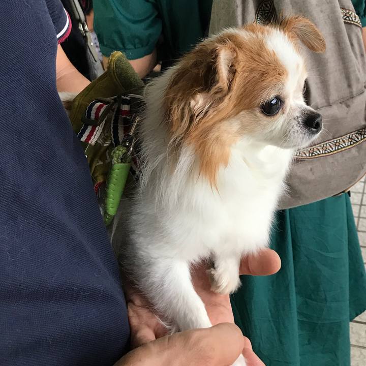 631c0ea8 db01 4bb8 a41f 79f219340373