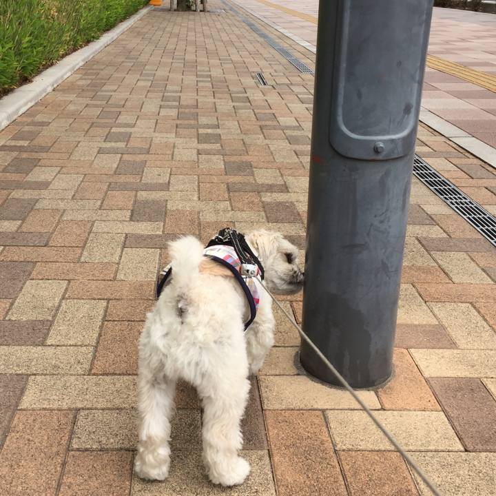 631c172d e90c 40af aa79 06786a186ca9