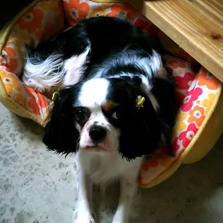 631c28ad 9498 42e9 a9d9 4e385fbe0bb1