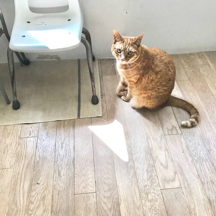 631c5702 510c 4b55 87e9 afb2c8746572