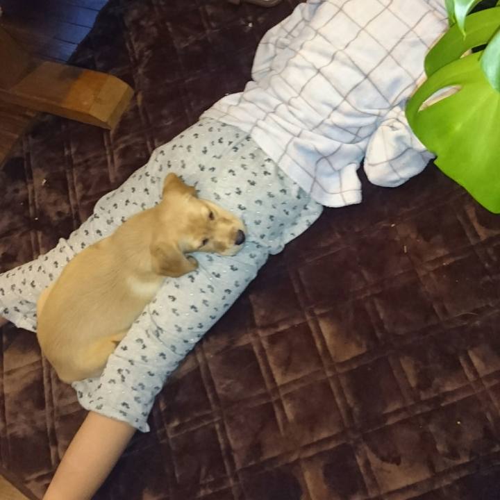 631c7845 f9ae 46c3 957f cf98ed0a47cd