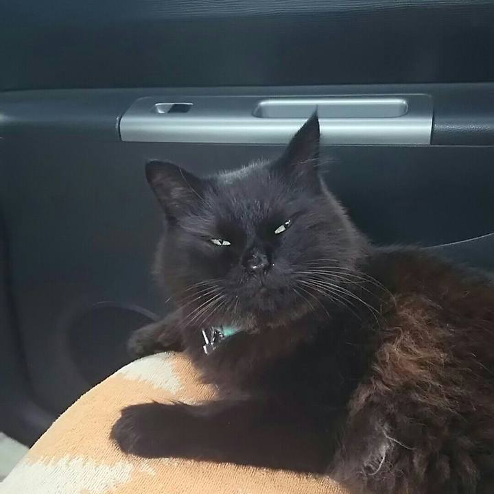 631d10fd ed10 47ec b447 70b91e7cba2b