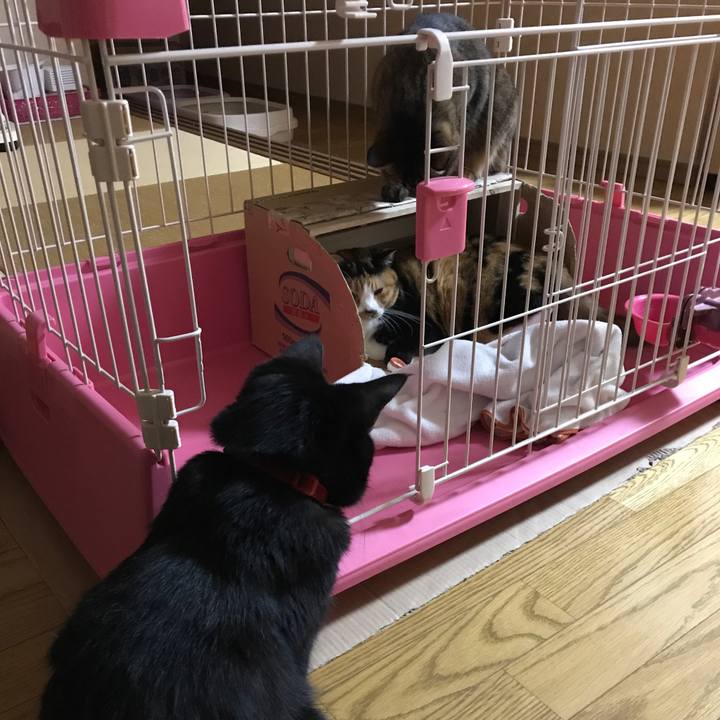 631d421f be4b 49fc b450 5e0cbf585d6d